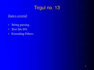 Tirgul no. 13
