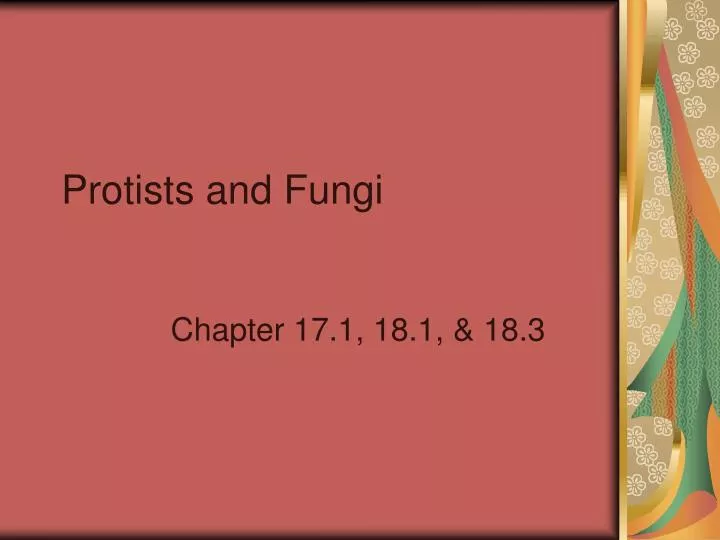 protists and fungi