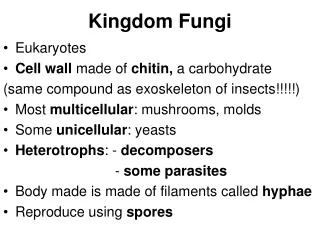 Kingdom Fungi