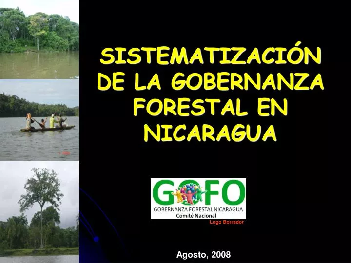 sistematizaci n de la gobernanza forestal en nicaragua