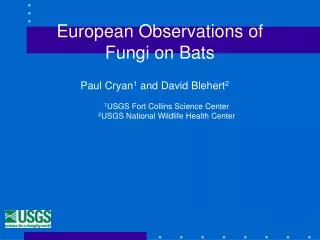 european observations of fungi on bats