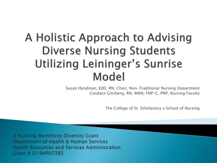 a holistic approach to advising diverse nursing students utilizing leininger s sunrise model