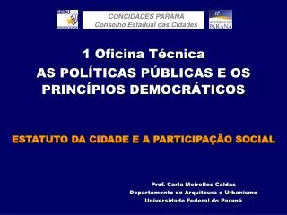 1 oficina t cnica as pol ticas p blicas e os princ pios democr ticos