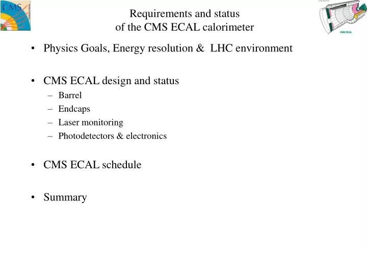 requirements and status of the cms ecal calorimeter