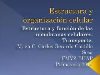 estructura y organizaci n celular