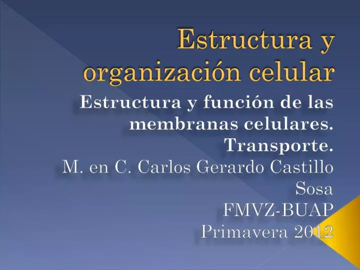 estructura y organizaci n celular