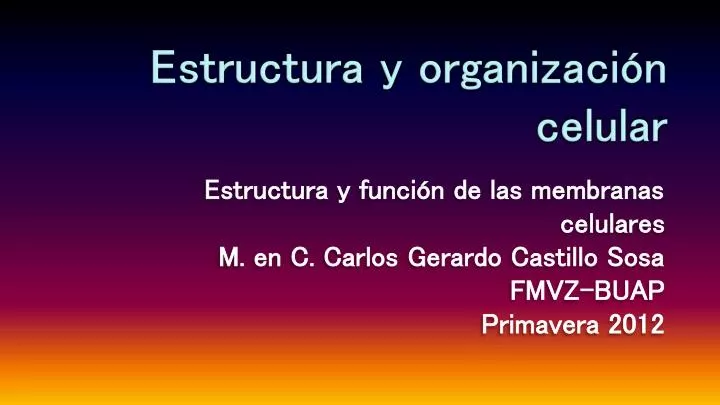 estructura y organizaci n celular