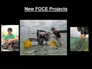 New FOCE Projects