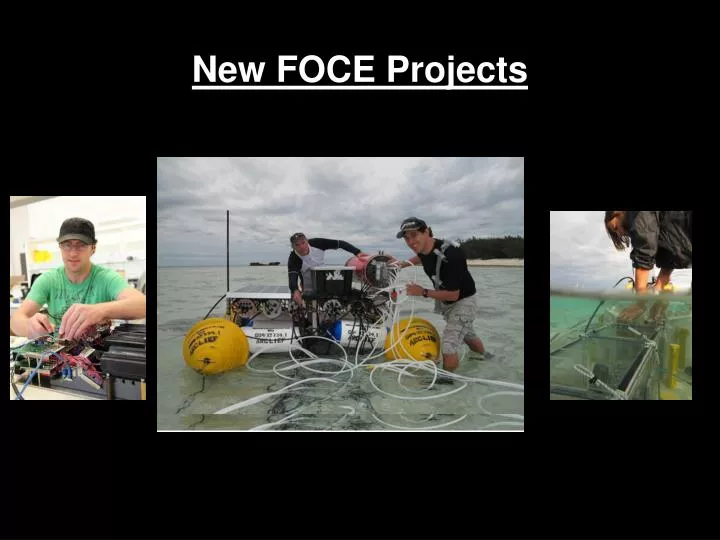 new foce projects