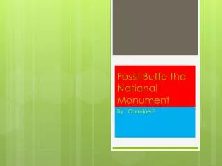 Fossil Butte the National Monument