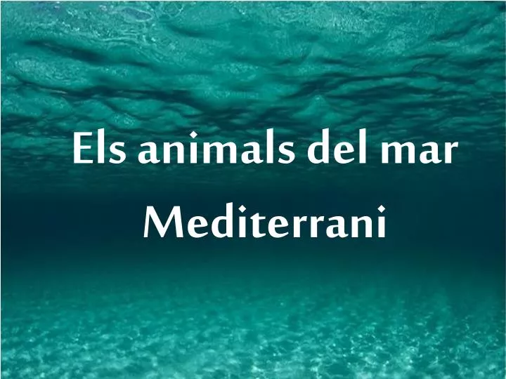 els animals del mar mediterrani