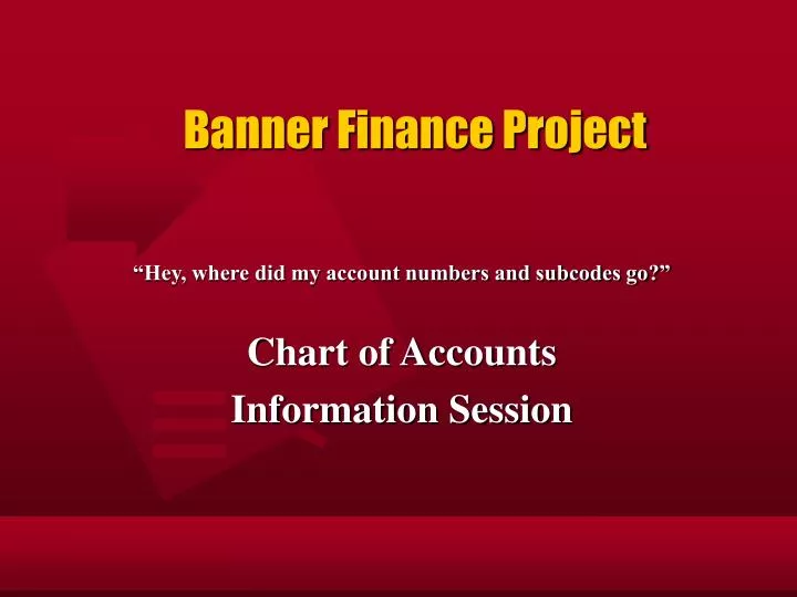 banner finance project