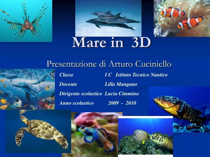 mare in 3d