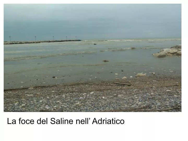 la foce del saline nell adriatico