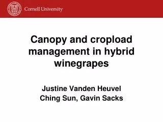 Canopy and cropload management in hybrid winegrapes