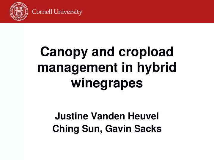 canopy and cropload management in hybrid winegrapes