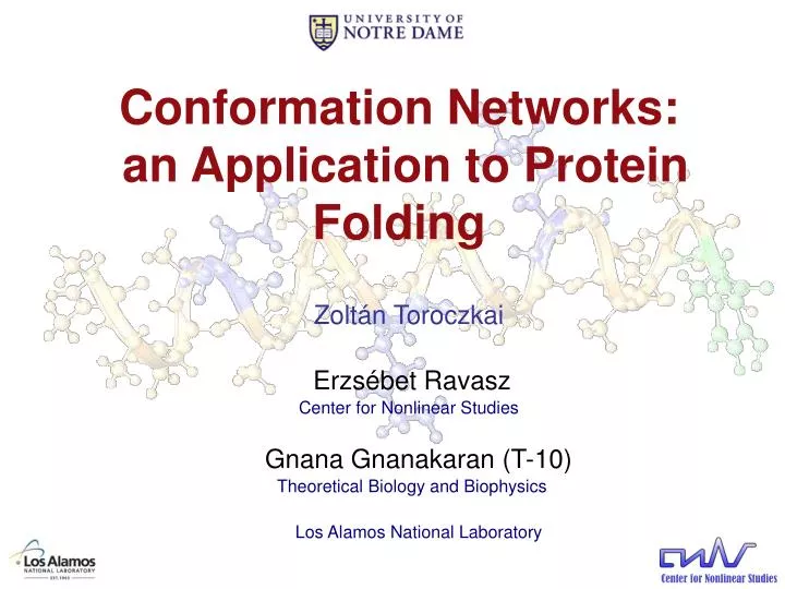conformation networks an application to protein folding