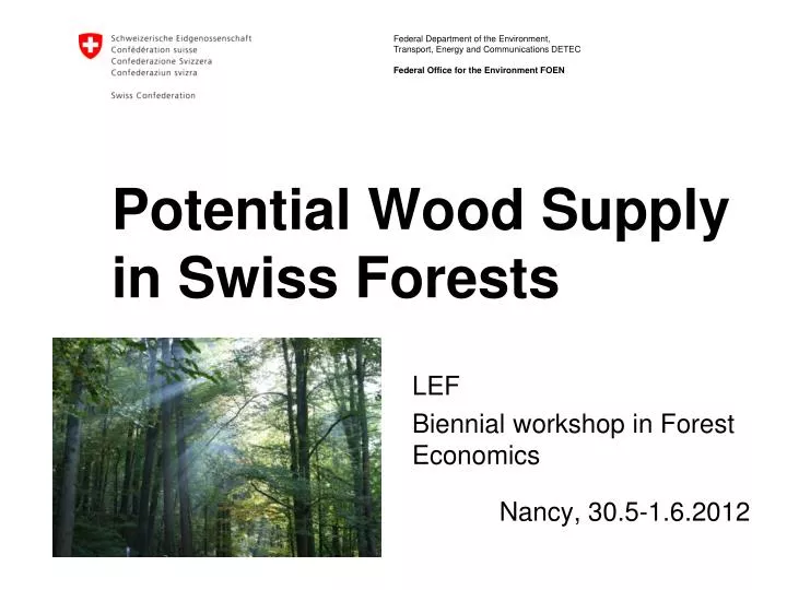 potential wood supply in swiss forests