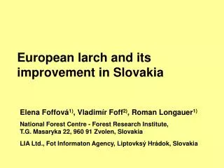 European larch and its improvement in Slovakia