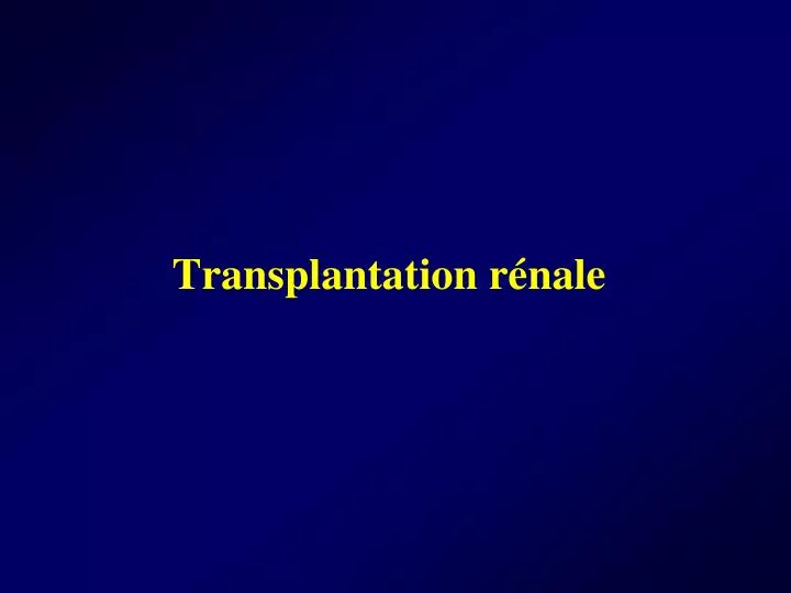 transplantation r nale