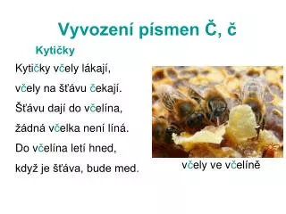 vyvozen p smen