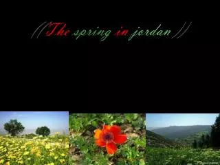 (( The spring in jordan ))