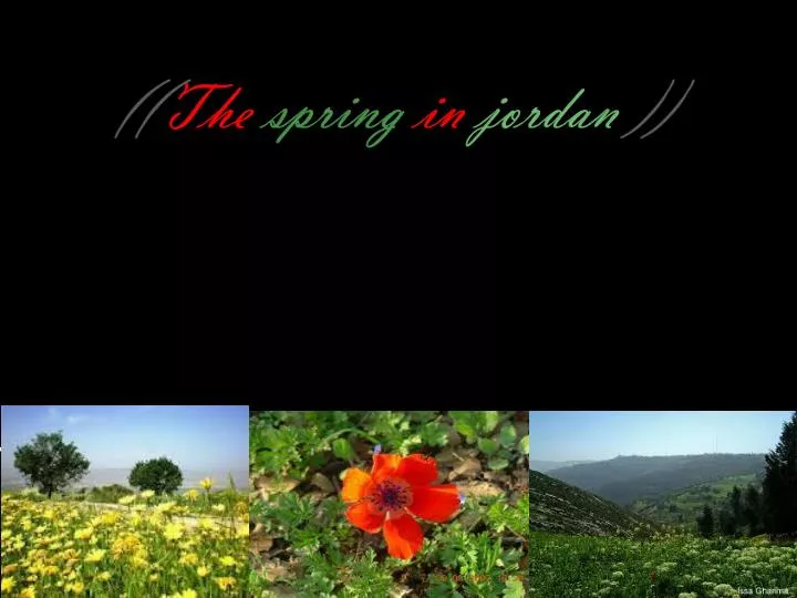 the spring in jordan