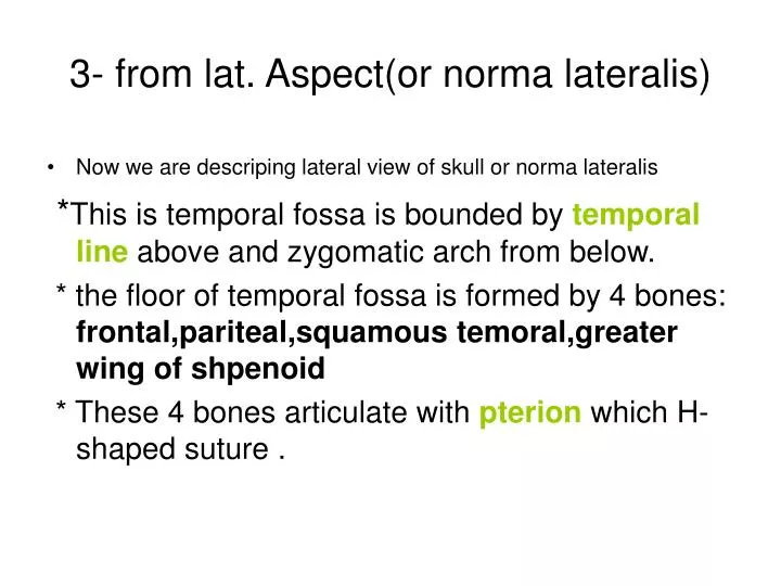3 from lat aspect or norma lateralis