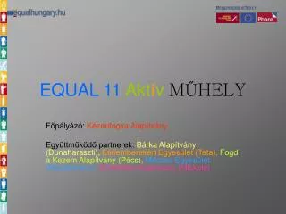 equal 11 akt v m hely