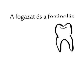a fogazat s a fog pol s