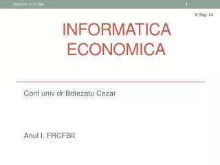 informatica economica