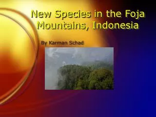 New Species in the Foja Mountains, Indonesia