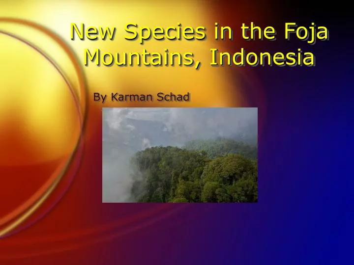 new species in the foja mountains indonesia