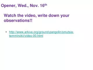 Opener, Wed., Nov. 16 th Watch the video, write down your observations!!