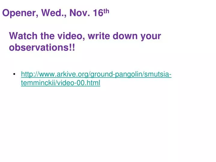opener wed nov 16 th watch the video write down your observations
