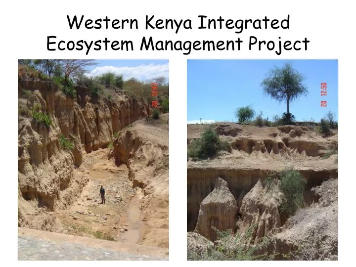 western kenya integrated ecosystem management project