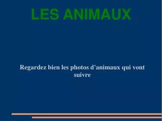 regardez bien les photos d animaux qui vont suivre