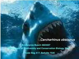 Bronwynne Busch 2603507