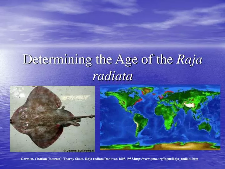 determining the age of the raja radiata