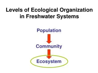 Levels of Ecological Organization in Freshwater Systems