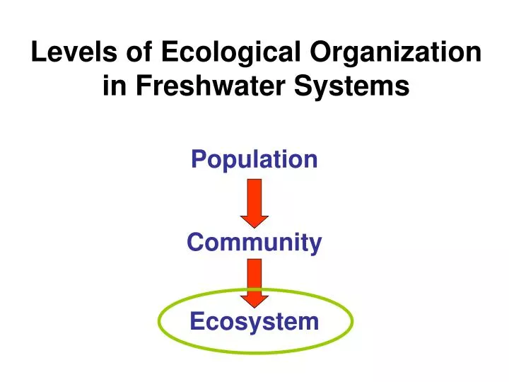 levels of ecological organization in freshwater systems