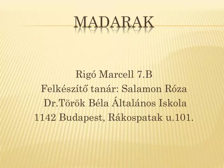 madarak