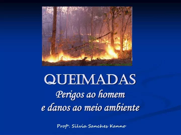 queimadas perigos ao homem e danos ao meio ambiente