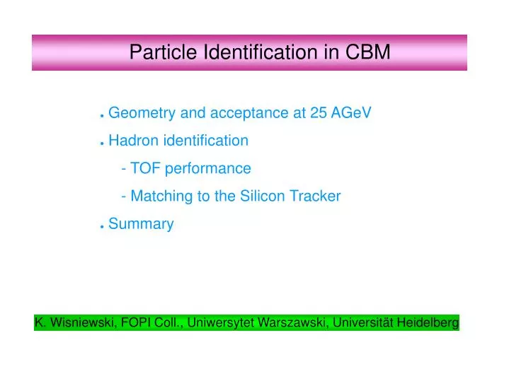 particle identification in cbm