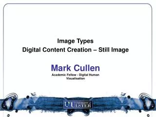 Mark Cullen Academic Fellow - Digital Human Visualisation