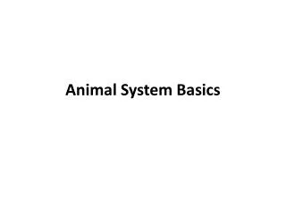 Animal System Basics