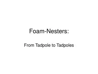 Foam-Nesters: