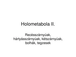 holometabola ii