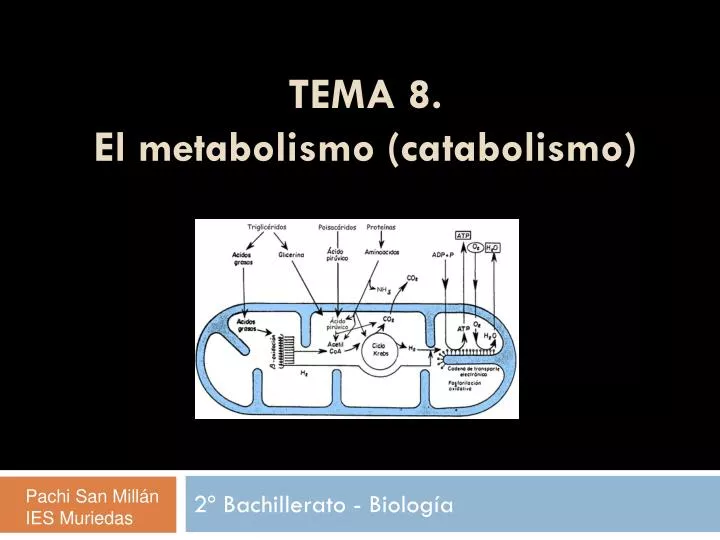 tema 8 el metabolismo catabolismo