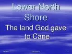 Empowering Change in Lower North Shore Communities: The LNS CEDEC Initiative - slide 1